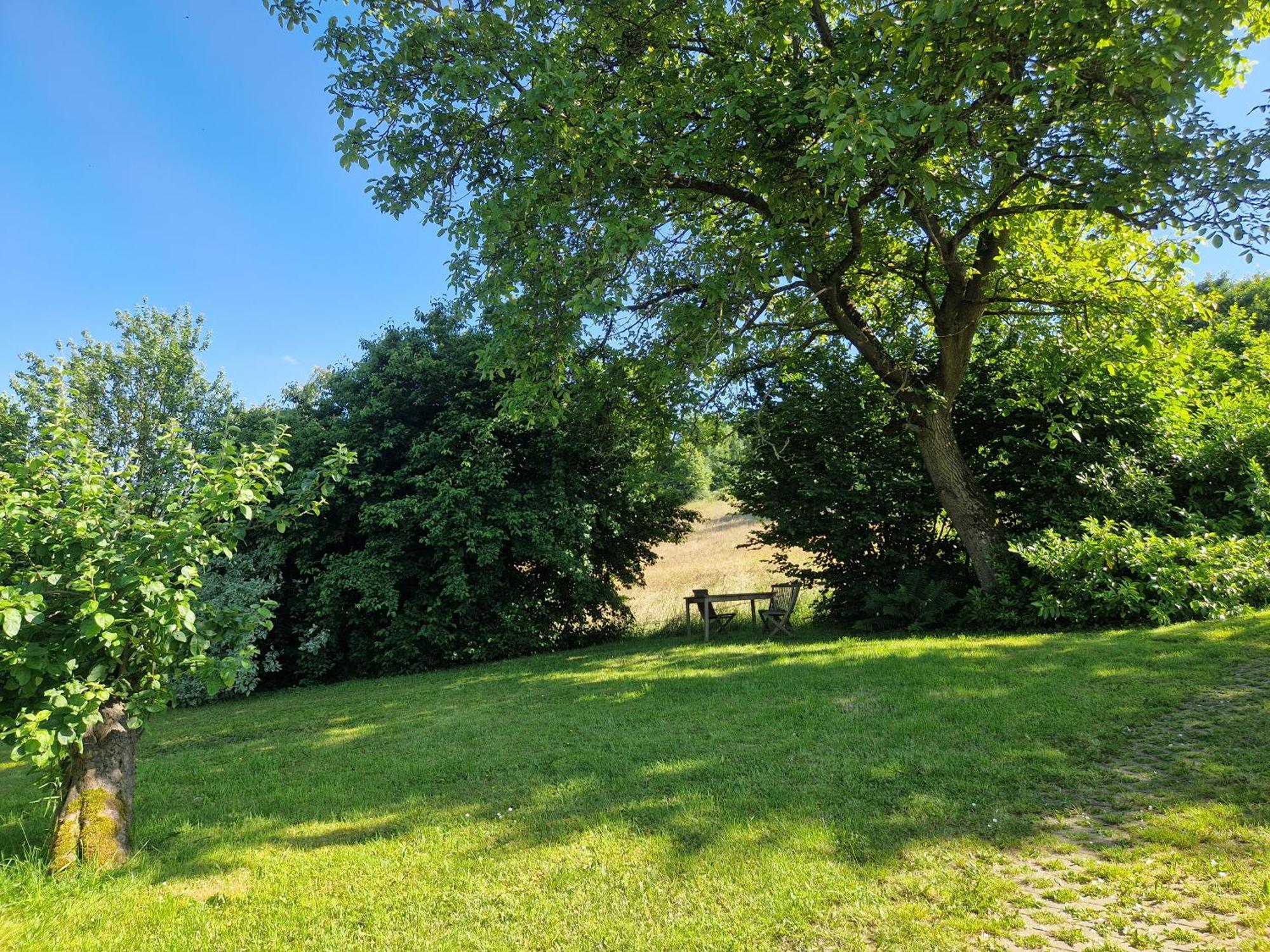 Ferienhaus Berghausen Am Hennesee Meschede Ngoại thất bức ảnh